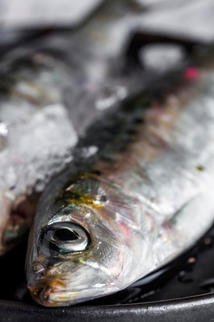 Fresh raw fish on wooden board. Background. From above