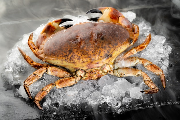 Granchio di pietra crudo fresco della florida sul mucchio di ghiaccio sulla lastra di pietra nera con nebbia di vapore freddo gelo ghiacciato. frutti di mare di cibo fresco al concetto di mercato.