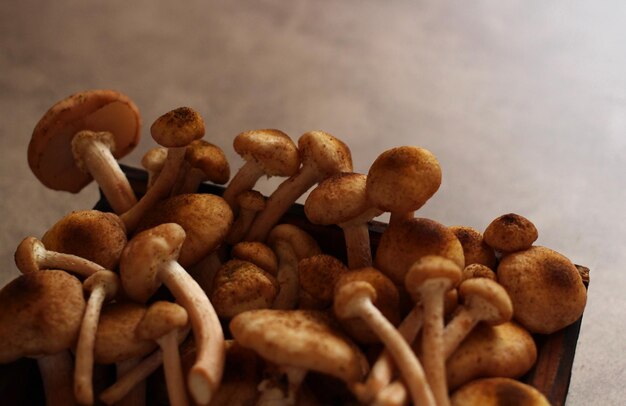 Photo fresh raw honey mushrooms in a wooden box on a beige background