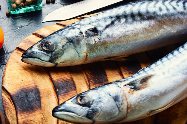 Fresh raw mackerel fish