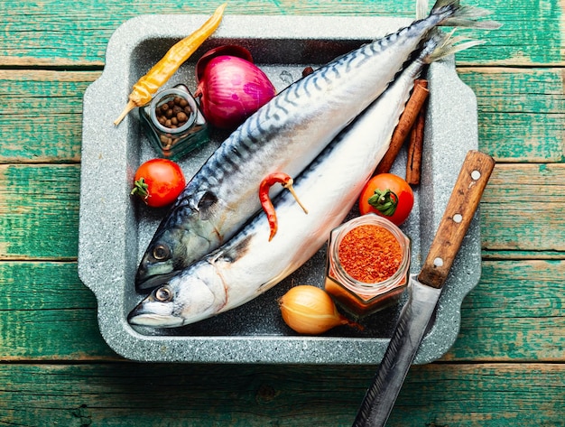 Fresh raw mackerel fish