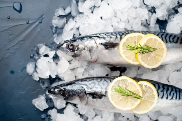 Fresh, raw mackerel with spices on ice
