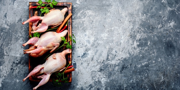 Photo fresh raw meat quails