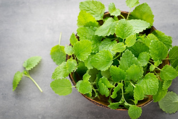 Fresh raw mint leaves on gray background.