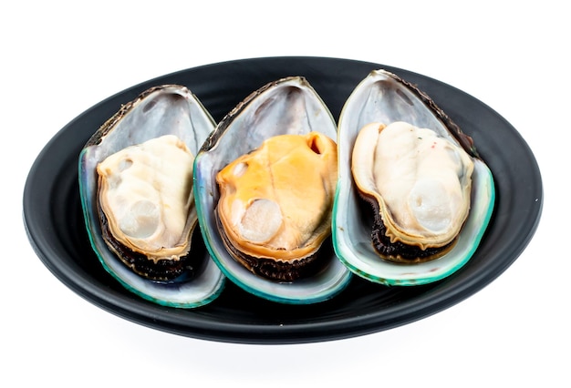 Fresh raw mussels sliced on square plate isolated on white background shabu hot pot ingredients