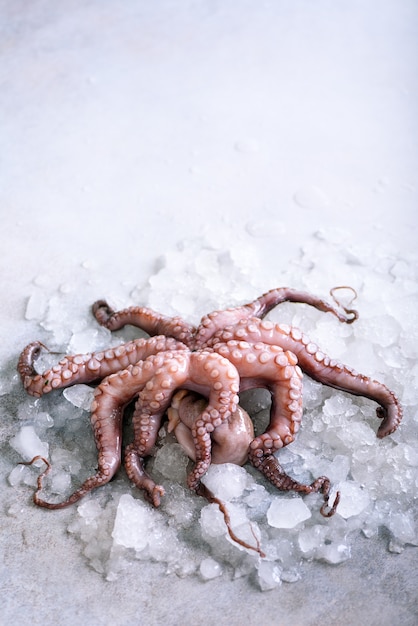 Fresh raw octopus on ice, grey concrete . 