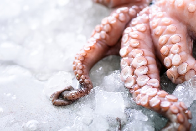 Fresh raw octopus on ice, grey concrete .