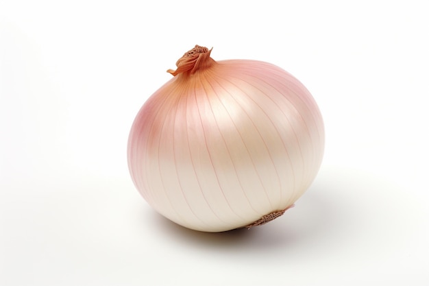 Fresh raw onion on a white background Red whole and sliced onion Whole onion isolated into white b