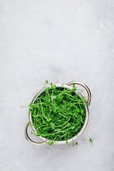 ザルトップビューコピースペースで新鮮な生の有機グリーンエンドウ豆苗
