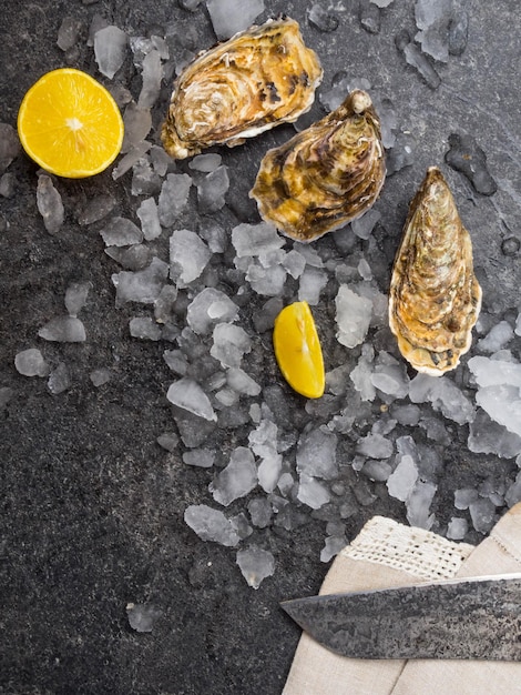 Fresh raw oysters on ice with lemon slices mollusk of the Atlantic Ocean knife