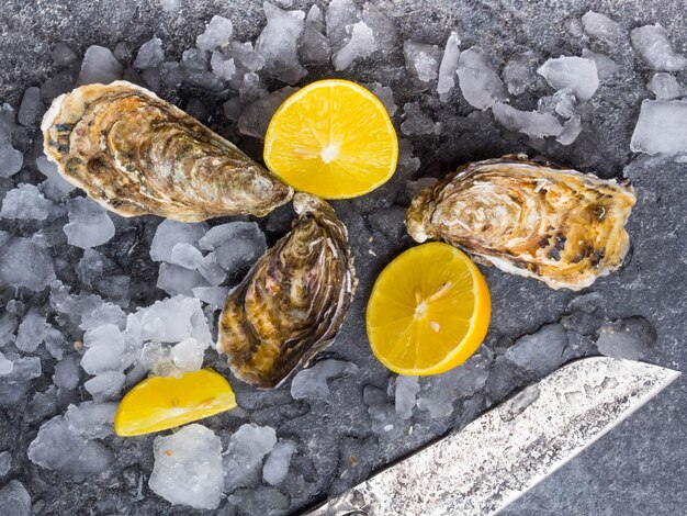 Fresh raw oysters on ice with lemon slices mollusk of the Atlantic Ocean knife