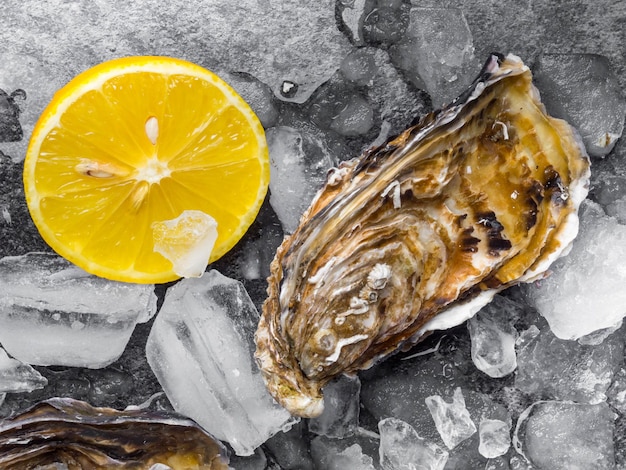 Fresh raw oysters on ice with lemon slices mollusk of the atlantic ocean