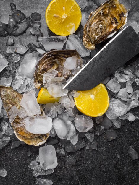 Fresh raw oysters on ice with lemon slices mollusk of the Atlantic Ocean