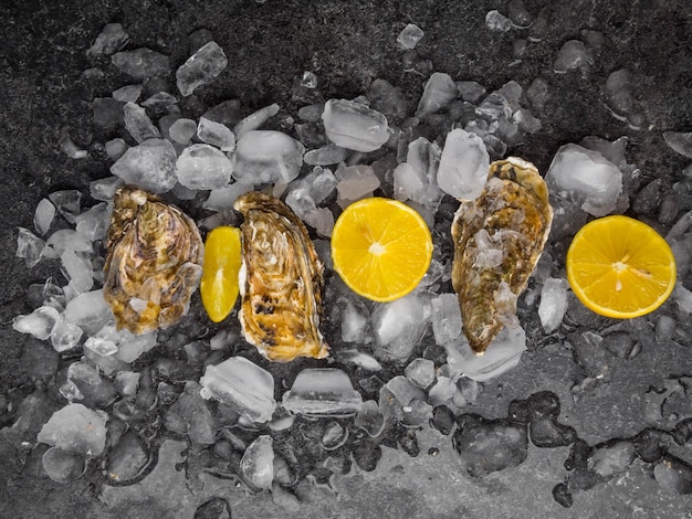 Fresh raw oysters on ice with lemon slices mollusk of the Atlantic Ocean