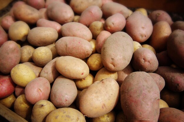 Photo fresh raw potatoes as background