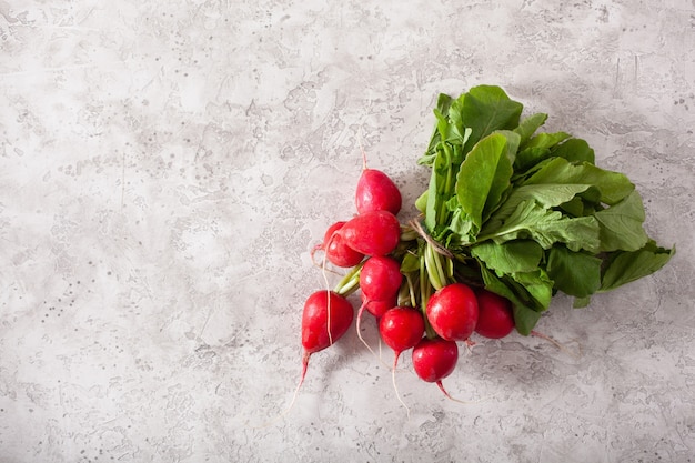 Fresh raw radish over gray background