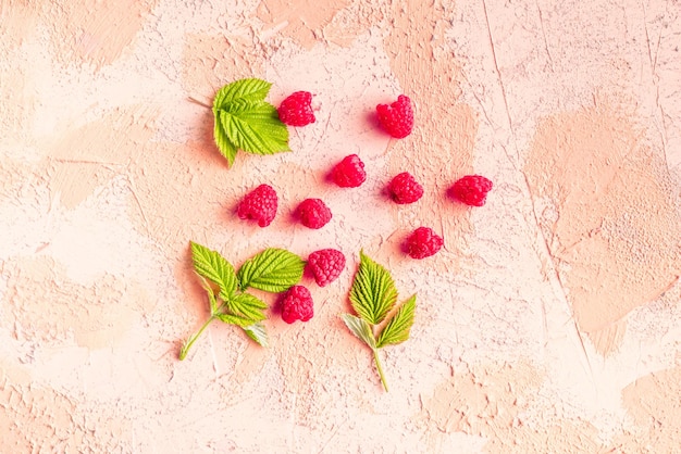 Fresh raw raspberries with green leaves healthy diet lifestyle concepts