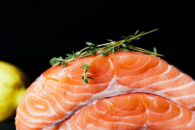 Fresh raw salmon fillet with seasonings and herbs