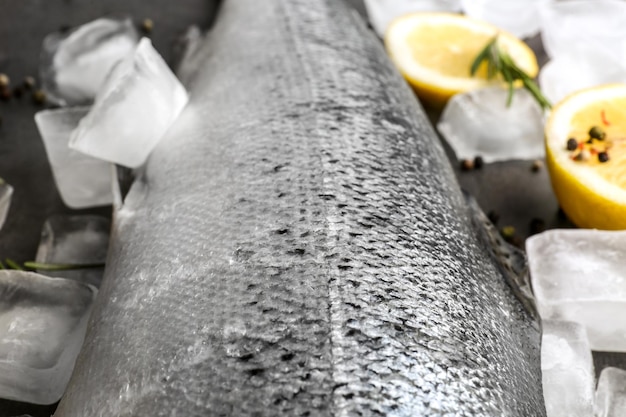 Fresh raw salmon ice cubes and lemon closeup