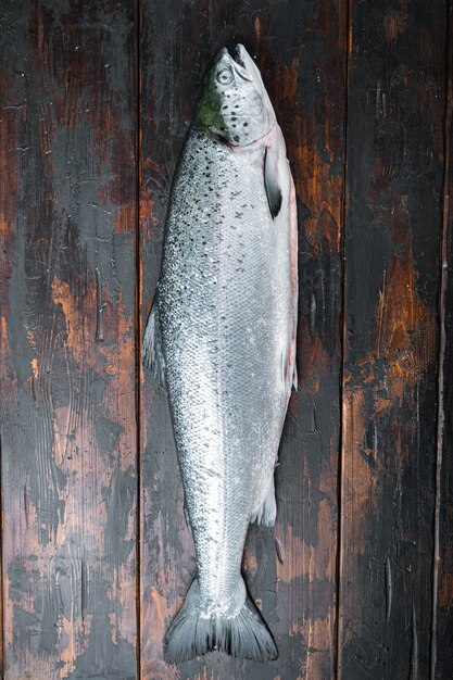 Fresh raw salmon redfish