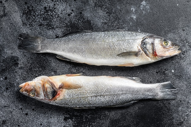 Fresh raw sea bass fish on Black table. 