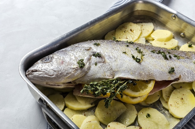 Fresh raw sea bass fish prepared for roasting with potatoes