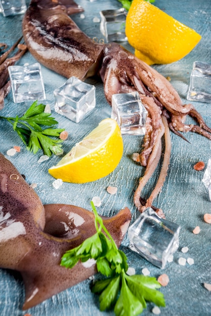 Fresh raw seafood, squid with lemon and light for preparation on a light blue background