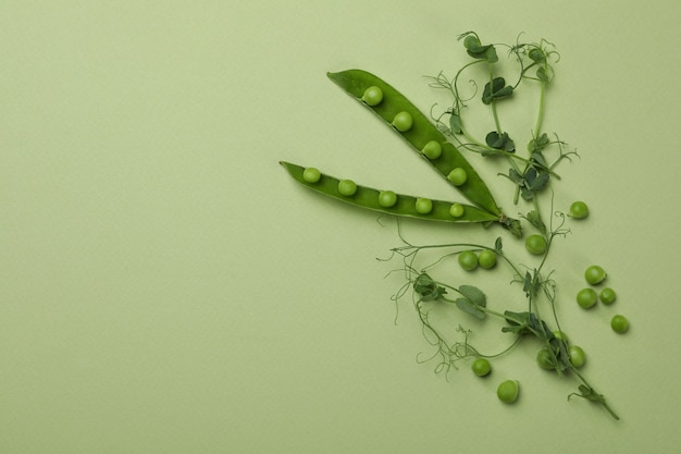 Fresh raw spinach with water, close up