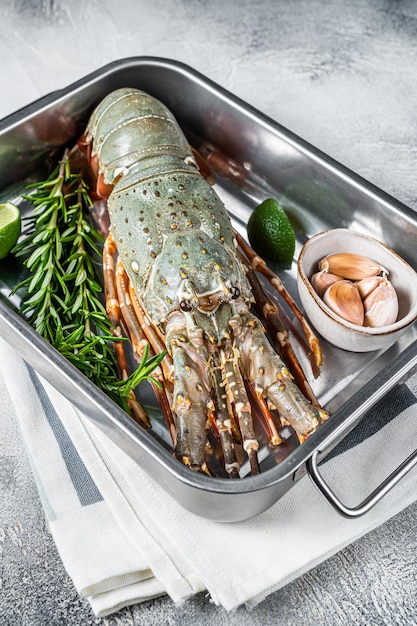 Fresh Raw Spiny lobster or sea crayfish ready for cooking White background Top view