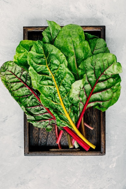 Fresh raw swiss rainbow chard leaves on gray stone background Top view
