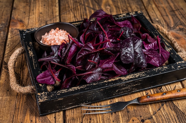 Fresh raw Swiss Ruby or red chard salad Leafs in a wooden tray