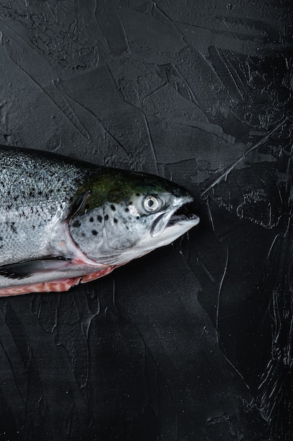 Fresh raw trout redfish on a black table