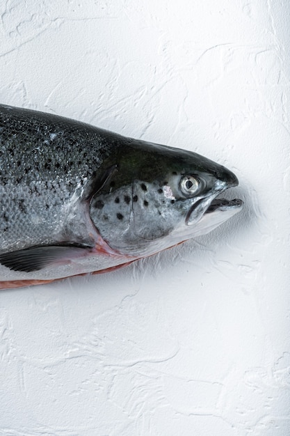 Fresh raw trout redfish on a white table