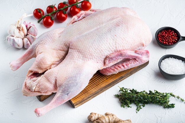 Fresh raw whole duck meat on white background