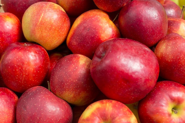 カラフルな新鮮な赤いリンゴの抽象的なフルーツ