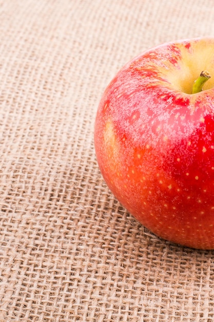 캔버스에 놓인 신선한 빨간 사과