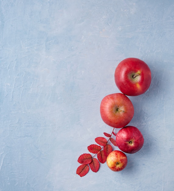 Fresh red apples on blue wood table autumn garden copy space top view