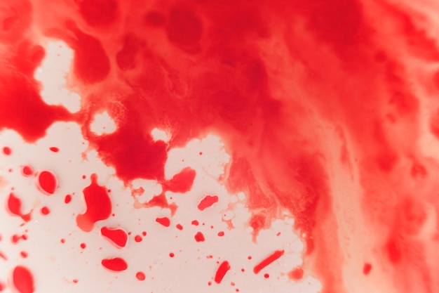 Foto splat di sangue rosso fresco su porcellana bianca con granelli di impatto. area spazio copia per concetti e idee a tema horror macro