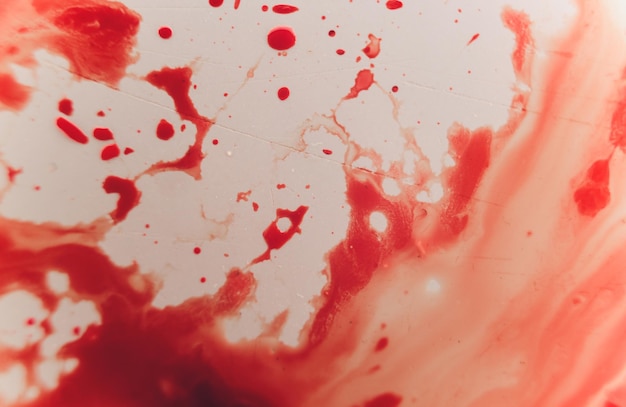 Foto splat di sangue rosso fresco su porcellana bianca con granelli di impatto. area spazio copia per concetti e idee a tema horror macro