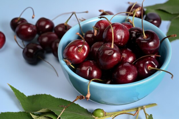 Fresh red cherries with stalks on blue background