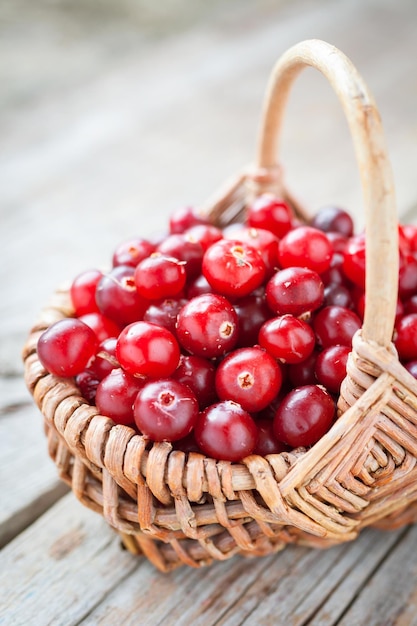 Fresh red cranberries in basket