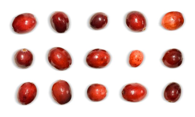 Fresh red cranberries isolated and spaced out on a white background