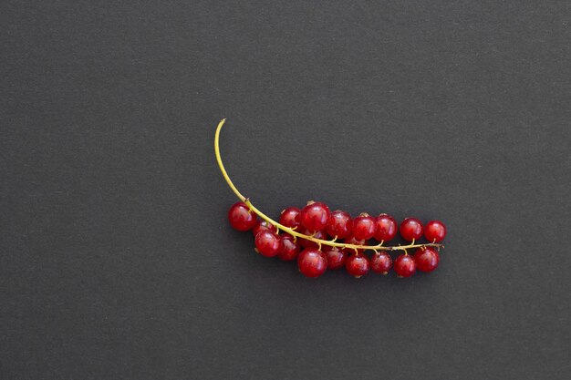 Fresh red currant berries on black background closeup