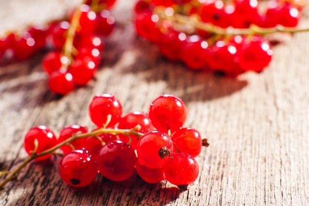 Fresh red currant berries in water background