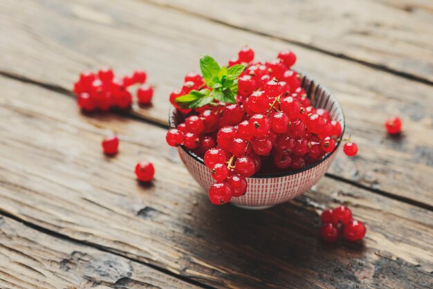 Fresh Red currant with mint