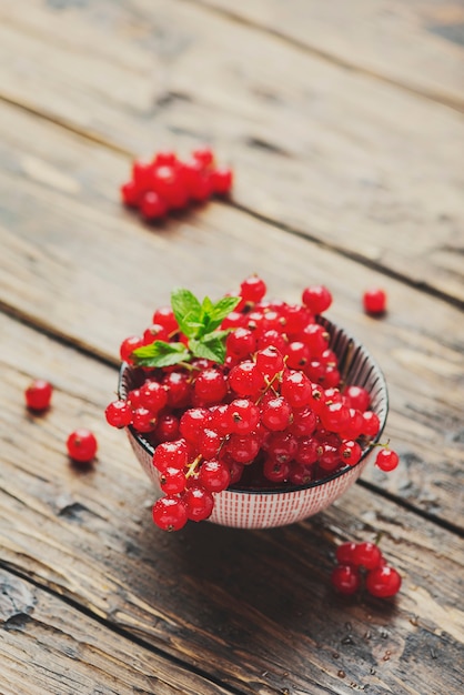 Fresh Red currant with mint