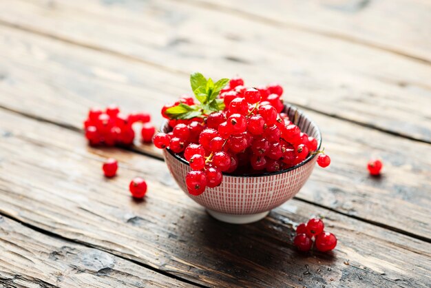 Fresh Red currant with mint