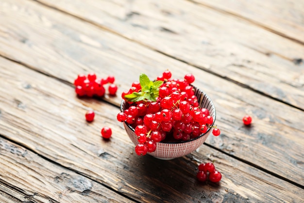 Fresh Red currant with mint