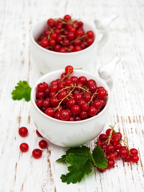 Fresh red currant