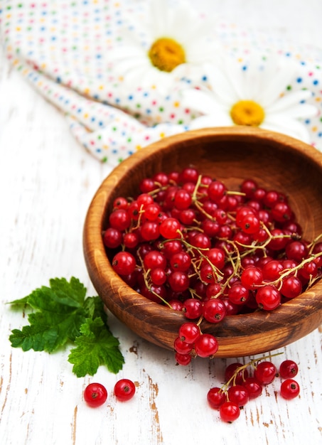 Fresh red currant